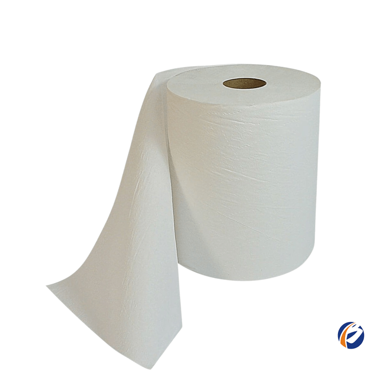 Papel-Toalha-Bobina-Descartavel-Limpeza-e-Maciez-06-Unidades-Santher-134590