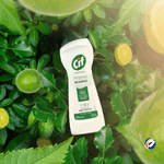 Sapolio-Poder-Natural-de-Limpeza-250ml-Cif-102400.png