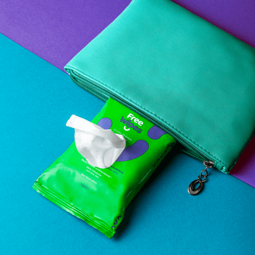 Lenço Umedecido Antisséptico com 20 unidades Free Wipes